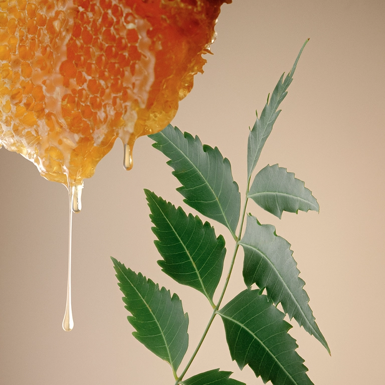 Neem Fortifying Complex